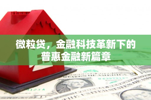 靖州微粒贷，金融科技革新下的普惠金融新篇章