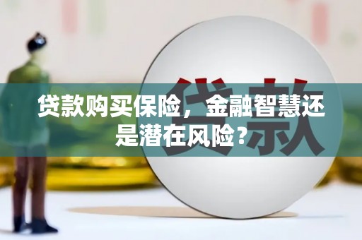 靖州贷款购买保险，金融智慧还是潜在风险？