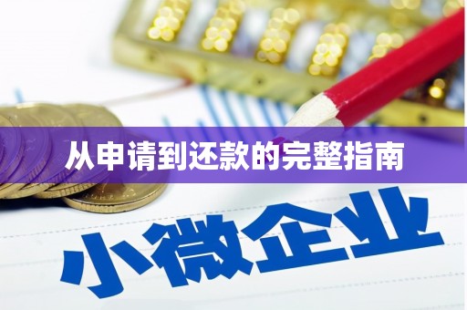 靖州从申请到还款的完整指南