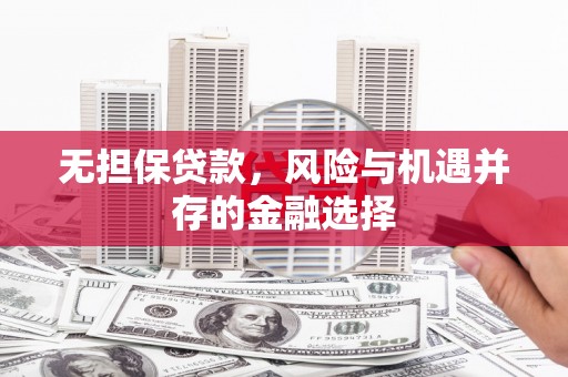 靖州无担保贷款，风险与机遇并存的金融选择
