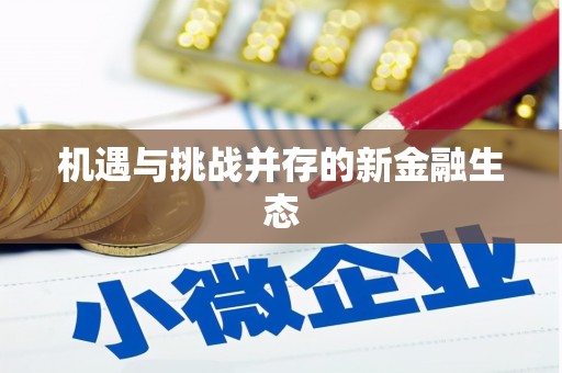 靖州机遇与挑战并存的新金融生态