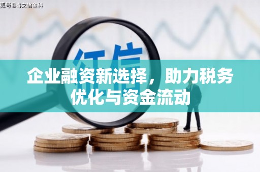 靖州企业融资新选择，助力税务优化与资金流动