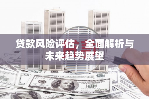 靖州贷款风险评估，全面解析与未来趋势展望
