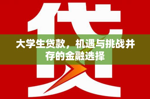 靖州大学生贷款，机遇与挑战并存的金融选择
