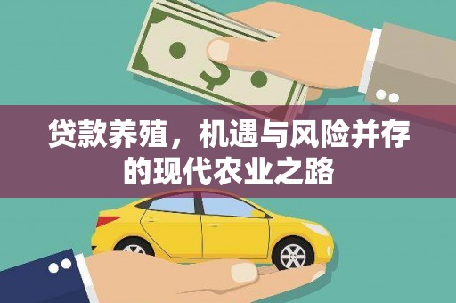 靖州贷款养殖，机遇与风险并存的现代农业之路