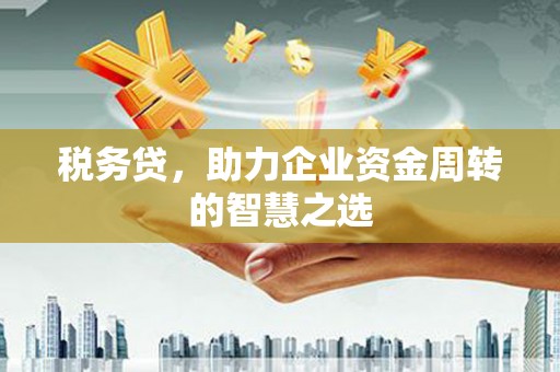 靖州税务贷，助力企业资金周转的智慧之选