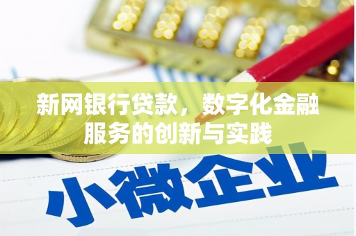 靖州新网银行贷款，数字化金融服务的创新与实践