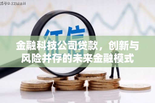 靖州金融科技公司贷款，创新与风险并存的未来金融模式