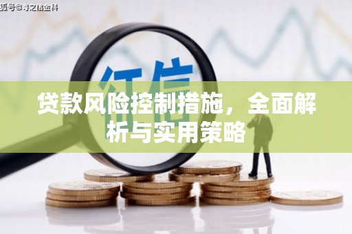 靖州贷款风险控制措施，全面解析与实用策略