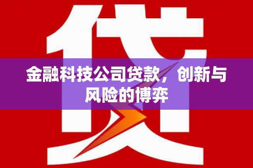 靖州金融科技公司贷款，创新与风险的博弈