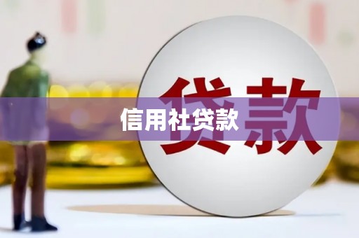靖州信用社贷款