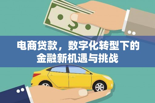靖州电商贷款，数字化转型下的金融新机遇与挑战