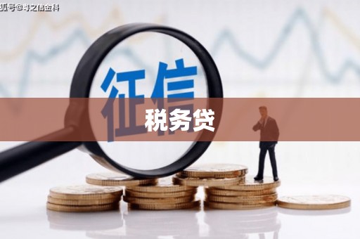 靖州税务贷