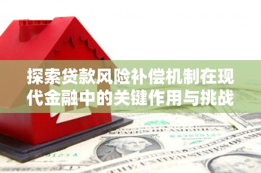 靖州探索贷款风险补偿机制在现代金融中的关键作用与挑战
