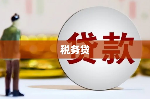 靖州税务贷