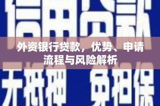 靖州外资银行贷款，优势、申请流程与风险解析