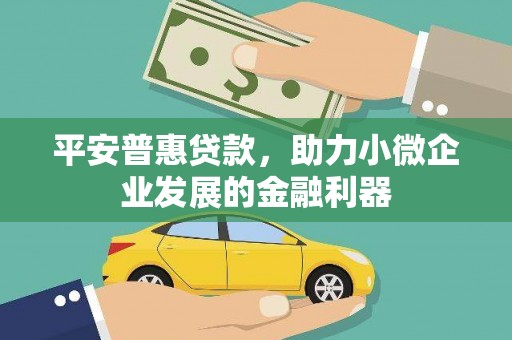 靖州平安普惠贷款，助力小微企业发展的金融利器