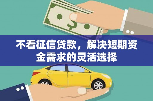 靖州不看征信贷款，解决短期资金需求的灵活选择