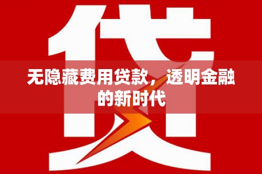 靖州无隐藏费用贷款，透明金融的新时代