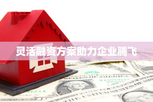 靖州灵活融资方案助力企业腾飞