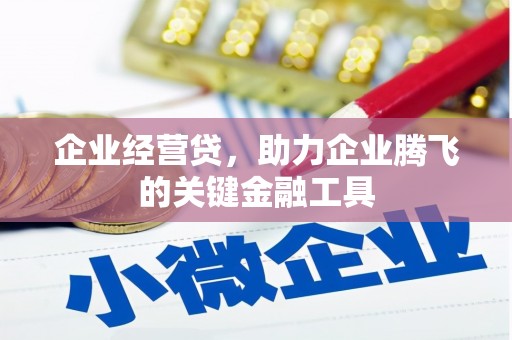 靖州企业经营贷，助力企业腾飞的关键金融工具