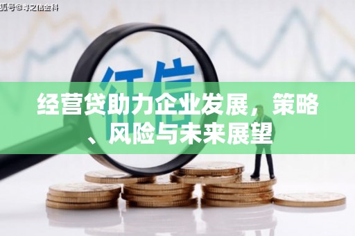 靖州经营贷助力企业发展，策略、风险与未来展望