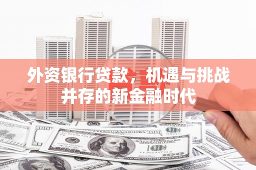靖州外资银行贷款，机遇与挑战并存的新金融时代