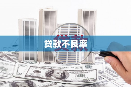 靖州贷款不良率