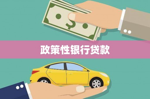 靖州政策性银行贷款