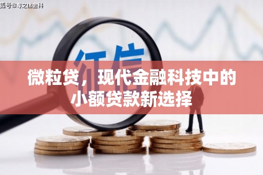 靖州微粒贷，现代金融科技中的小额贷款新选择
