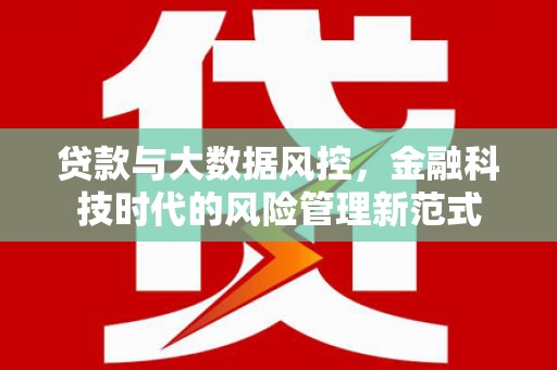 靖州贷款与大数据风控，金融科技时代的风险管理新范式