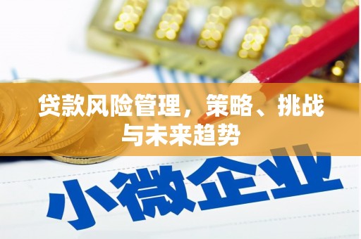 靖州贷款风险管理，策略、挑战与未来趋势