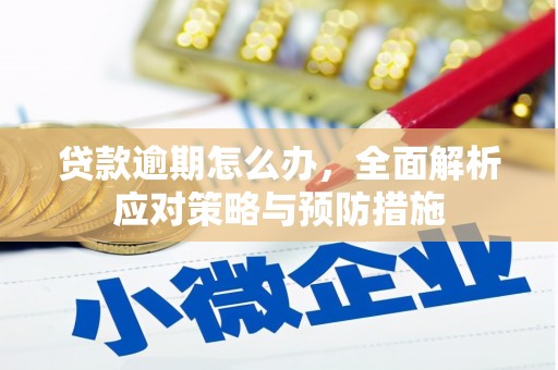 靖州贷款逾期怎么办，全面解析应对策略与预防措施