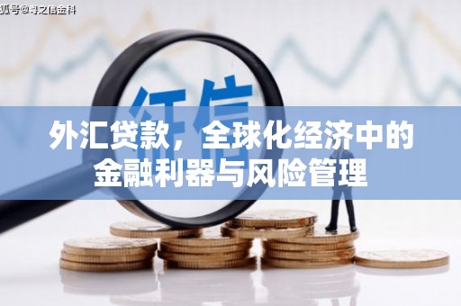 靖州外汇贷款，全球化经济中的金融利器与风险管理
