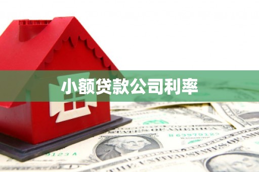 靖州小额贷款公司利率
