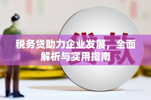 靖州税务贷助力企业发展，全面解析与实用指南