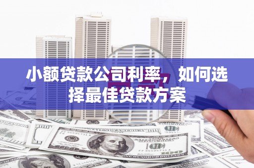 靖州小额贷款公司利率，如何选择最佳贷款方案