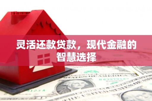 靖州灵活还款贷款，现代金融的智慧选择