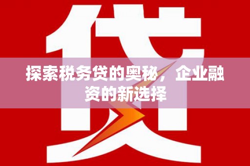 靖州探索税务贷的奥秘，企业融资的新选择