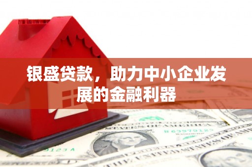 靖州银盛贷款，助力中小企业发展的金融利器