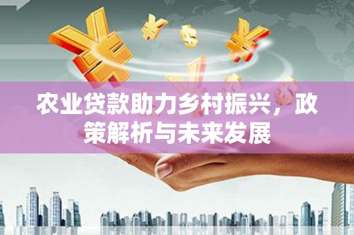 靖州农业贷款助力乡村振兴，政策解析与未来发展