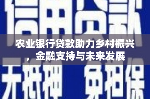 靖州农业银行贷款助力乡村振兴，金融支持与未来发展