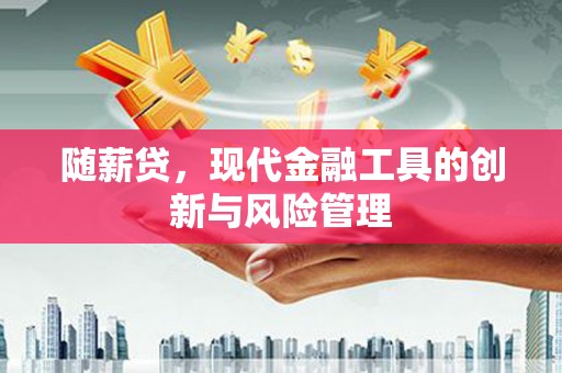 靖州随薪贷，现代金融工具的创新与风险管理