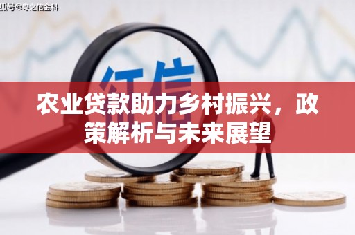 靖州农业贷款助力乡村振兴，政策解析与未来展望