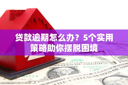 靖州贷款逾期怎么办？5个实用策略助你摆脱困境