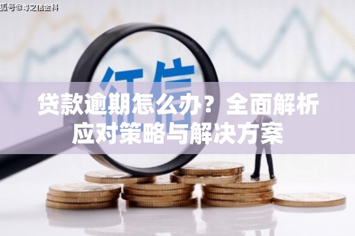 靖州贷款逾期怎么办？全面解析应对策略与解决方案