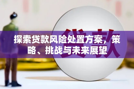 靖州探索贷款风险处置方案，策略、挑战与未来展望