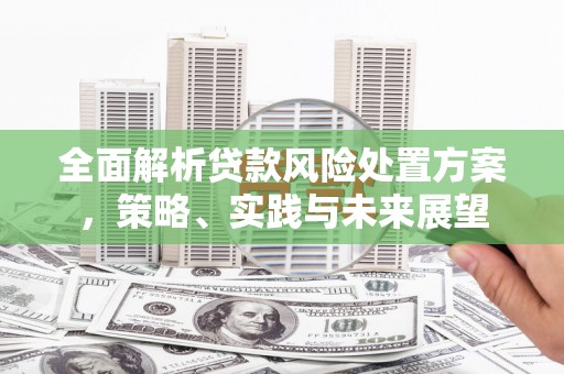 靖州全面解析贷款风险处置方案，策略、实践与未来展望