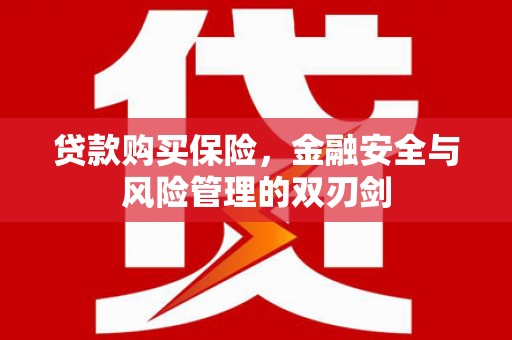 靖州贷款购买保险，金融安全与风险管理的双刃剑