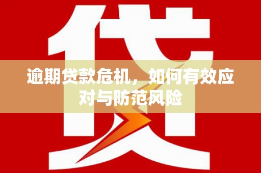 靖州逾期贷款危机，如何有效应对与防范风险